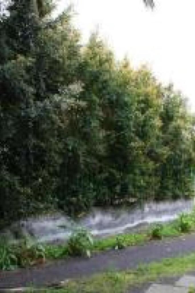 Villa Autostrada A 18 Giarre Dış mekan fotoğraf